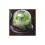 Cloches  salades plastique - Lot de 6 4