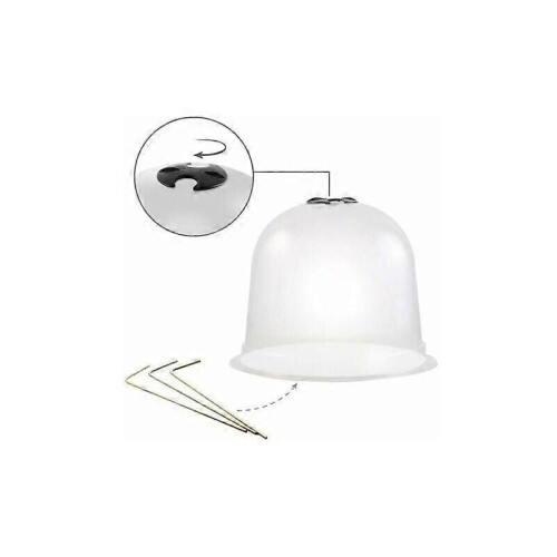 Cloches  salades plastique - Lot de 6 2