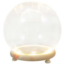 1 Set Micro Landscape Glowing Glass Dome Creative Eternal Flower Glass Cover