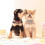 Pet Collar Hanging Accessories for Small And Medium-sized Pets 2