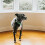 Pet Collar Hanging Accessories for Small And Medium-sized Pets 5