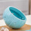 (Blue)Ceramic Garlic and Ginger Storage Jar with Lid 3