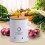 (White Medium)Tin Potato Onion Garlic Storage Container - Kitchen Pantry Organizer Canister with Lid 3