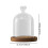 (Style C)Clear Glass Dome Bell Jar Dia 3.5inch for Centrepieces Antiques Multipurpose Style A 2