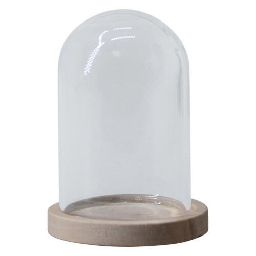 (2 Pcs)2-5pack 4Pcs Transparent Glass Cloche Dome Container W/ Lid for Decor Office 1