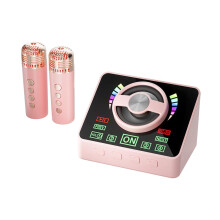 Karaoke Machine Mini Wireless With Two Microphones KTV Set RGB Light Effects Portable Pink