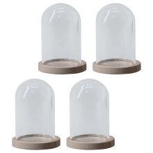 (Dome Wood Base)Glass Cloche Dome Flower Cover Micro Landscape Jar Ornament with Wooden