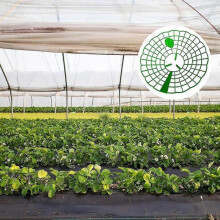 3pcs Strawberry Plant Supports Strawberry Stand Strawberry Supports Stand Garden Balcony Vegetable Rack for Home Diy Gardening Tool