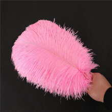 (20PCS, Pink) 30-35cm Large Ostrich Feathers Plume Craft Wedding Party Decorations