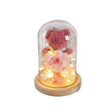 (pink)Glass Dome Rose and Moss Bear - 9 pcs Min Order for Valentine's 2025