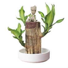(B)Groot Lucky Wood Hydroponic Green Modern Decorative Plant Pot for Office Home