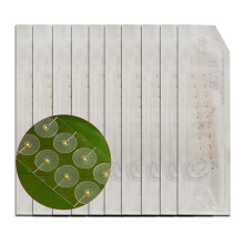 Ear Seed Acupuncture Kit Stickers For Facial Reflexology With Acupuncture Ear Press Seeds Gold Patch-Pr
