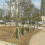 (Inner Diameter 5.3cm)Large Plant Frame Tripod Tree Support Stakes with Plastic Cups Garden Growing Tool 5