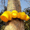 (80cm Strap)Large Plant Frame Tripod Tree Support Stakes with Plastic Cups Garden Growing Tool 2