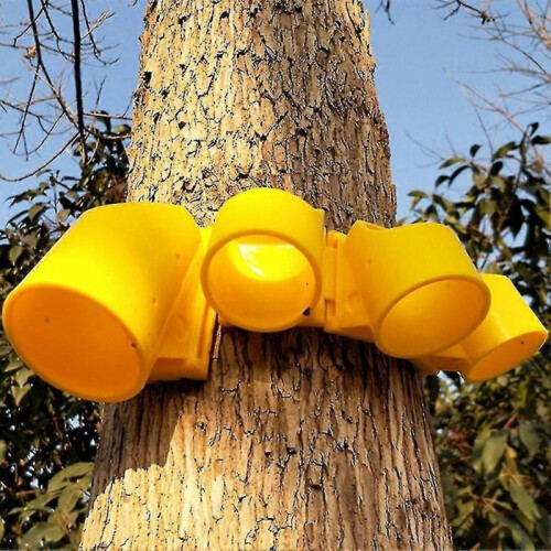 (80cm Strap)Large Plant Frame Tripod Tree Support Stakes with Plastic Cups Garden Growing Tool 1