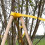 (Inner Diameter 4.3cm)Large Plant Frame Tripod Tree Support Stakes with Plastic Cups Garden Growing Tool 4