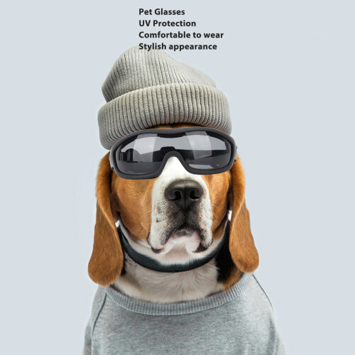 Dog Sunglasses Goggles UV Dust Protection Gray Adjustable Strap 2