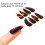 8 Stück Guzheng-Finger-Picks 3 cm Schildpatt 7
