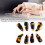 8 Stück Guzheng-Finger-Picks 3 cm Schildpatt 6
