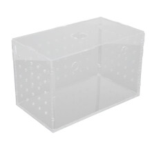 Fischzuchtbox aus klarem Acryl 14x8x9 cm Fry