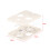 Taschentuchbox-Spring-Modell: TBSS-01 50 g ABS/Metall 2