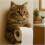(Blue cat) Cat Paper Holder Toilet wall roll paper 5