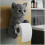 (Blue cat) Cat Paper Holder Toilet wall roll paper 1