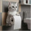 (Silver gradient) Cat Paper Holder Toilet wall roll paper 3
