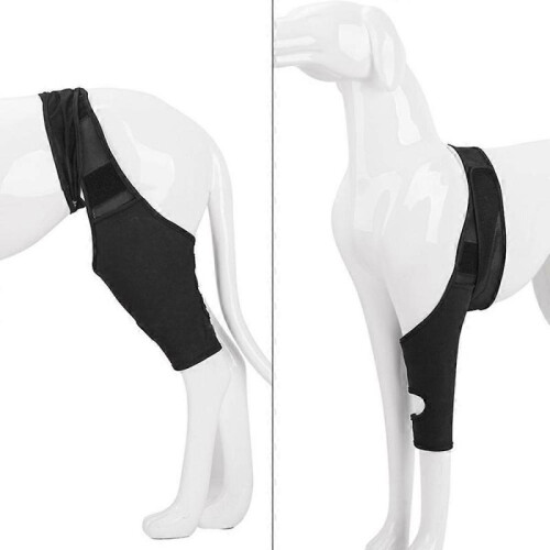 Pet Dog Knee Brace Knee Cap Dislocation Arthritis Keeps The Joint Warm Extra Support 1