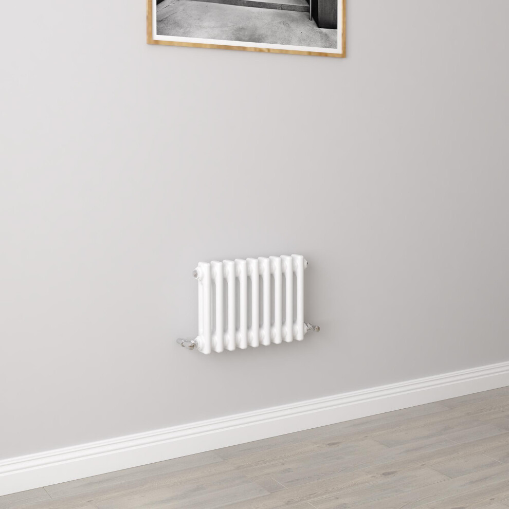 Aica (300X425mm 2 Column) Traditional Cast Iron Radiator White