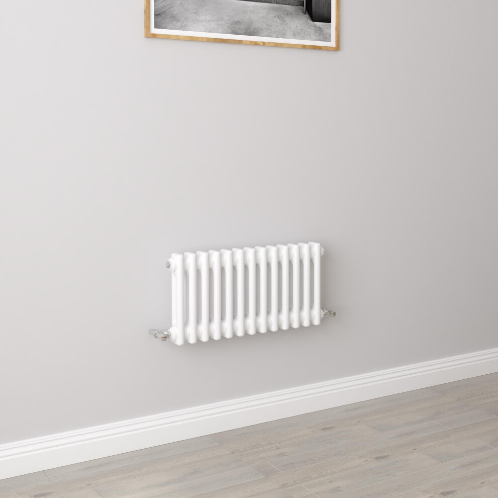 (300x605mm 2 Column) Traditional Cast Iron Radiator White