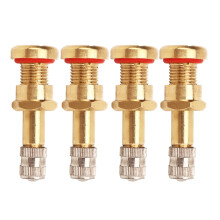 20 Stück Metall-Tubeless-Ventilschaft, 44 mm x 16 mm