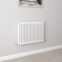 (600x830mm 2 Column) Traditional Cast Iron Radiator White