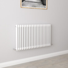 (600x1010mm 2 Column) Traditional Cast Iron Radiator White