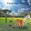 Ultrasonic Cat Repeller, Ultrasonic Rodent Repeller with Motion Sensor 3