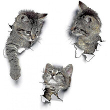 Wall Stickers Wall Stickers 3d Cats Wall Decals Combination Toilet Stickers Waterproof Fridge Stickers Door Stickers Kitchen Wall Decor
