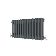 (Anthracite , 300*605mm) Traditional Cast Iron Style Radiators