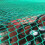 (2.5*3.5m) Trailer Net with Corner Markings Including 8 x Expander Hooks 4