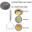 Potato Masher Cutter Tool Stainless Steel Potato Press Crusher Kitchen Gadget Tools 5
