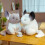 (25cm, Grey) Cute Hamster Doll Plush Toy Gift for Children 2