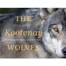 The Kootenay Wolves