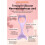 Lila Silikon-Winged-Eyeliner-Schablone 150x50mm 6
