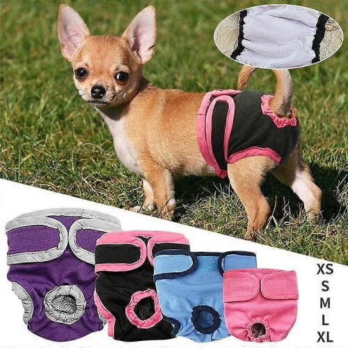 (M,purple)Super-Absorbent Washable Female Dog Diapers for Comfortable Sanitary Pant 1