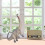 Simulated Diplodocus Dinosaur Model Figurine, Plastic, Static Decor for Kids 5