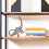 Simulated Diplodocus Dinosaur Model Figurine, Plastic, Static Decor for Kids 3