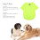 Grüne Eis-Seide Hund T-Shirt Größe M Kurzarm 5