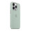 (Succulent) Silicone Phone Case Compale With Iphone 14pro(with logo)(EPB17) 4