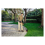 Black + Decker Black & Decker 18V Cordless Strimmer 28cm String Trimmer Black/Orange 4