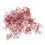 100Pcs Dog Shaped Paper Clips Iron Wire Decorative 7