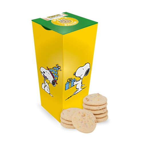 Peanuts Snoopy Birthday Cake Cookies Gift Tin Collectable Gift 2